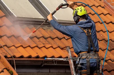 Démoussage et hydrofuge de toiture à Flaxieu